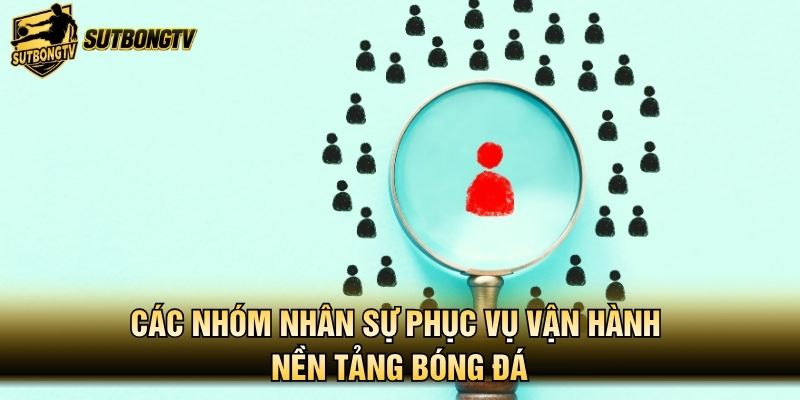 Các nhóm nhân sự phục vụ vận hành nền tảng bóng đá