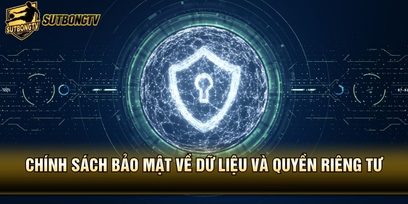 Chính sách bảo mật về dữ liệu và quyền riêng tư