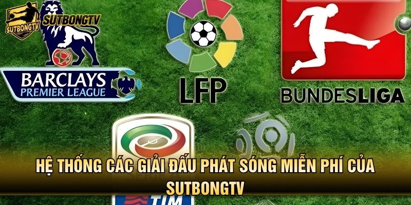Hệ thống các giải đấu phát sóng miễn phí của SutbongTV