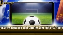 Xoilac TV: Đánh Giá Trải Nghiệm Xem Bóng Đá Thực Tế