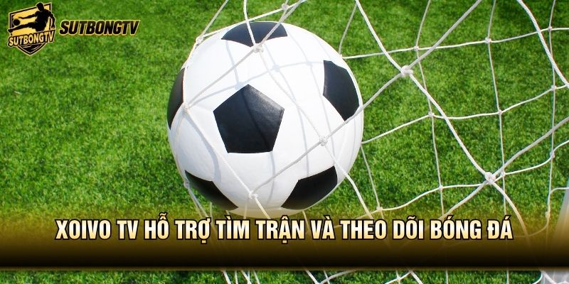 Xoivo TV hỗ trợ tìm trận và theo dõi bóng đá